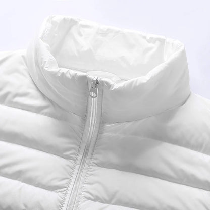 Arcten Gradient Down Vest